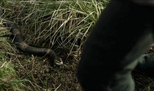 jamie face au serpent dans l'épisode 9 de la saison 5 outlander