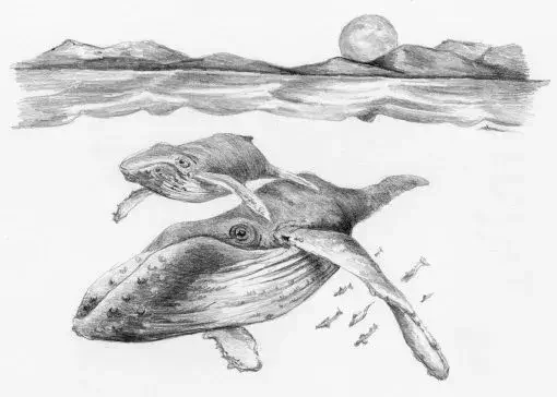 baleine diana gabaldon minnie tome 10