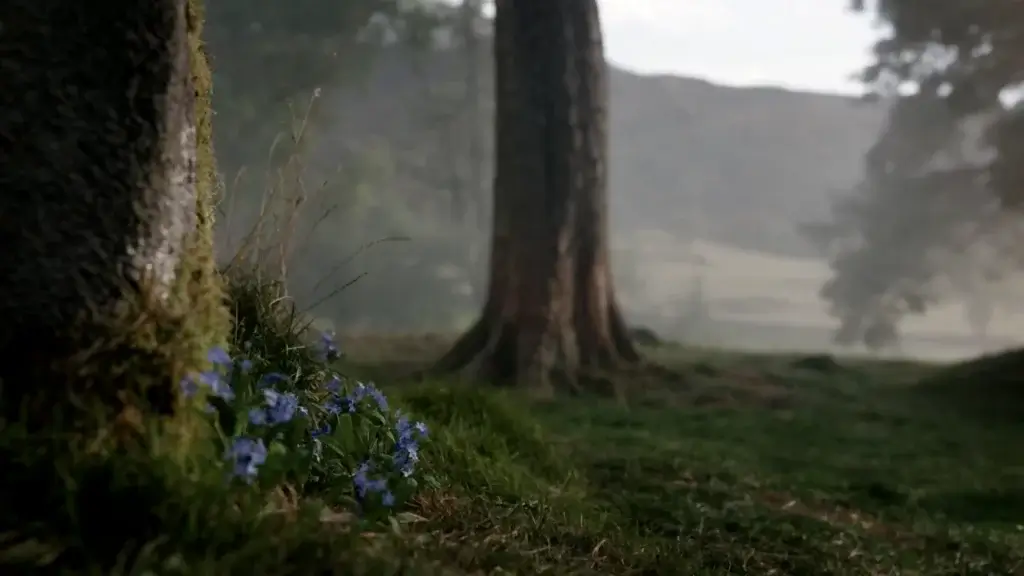myosotis outlander saison 8 explication fantôme